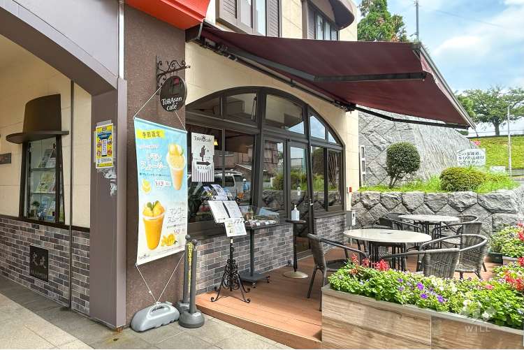 柴又公園の写真