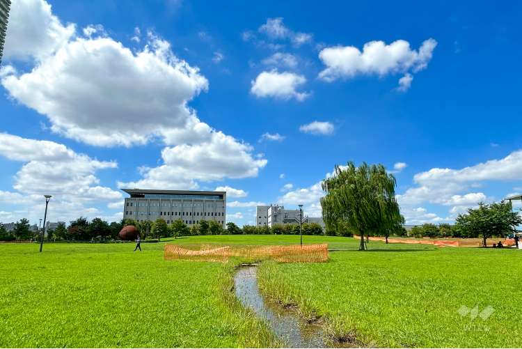 葛飾にいじゅくみらい公園の写真