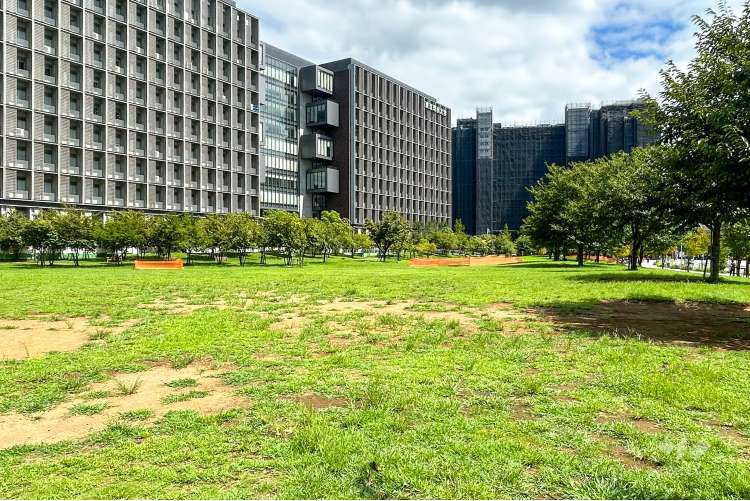 葛飾にいじゅくみらい公園の写真