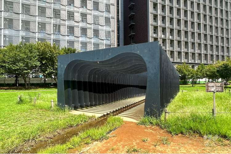 葛飾にいじゅくみらい公園の写真