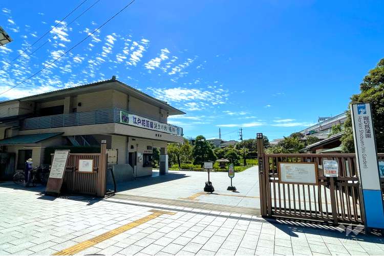 堀切菖蒲園の写真