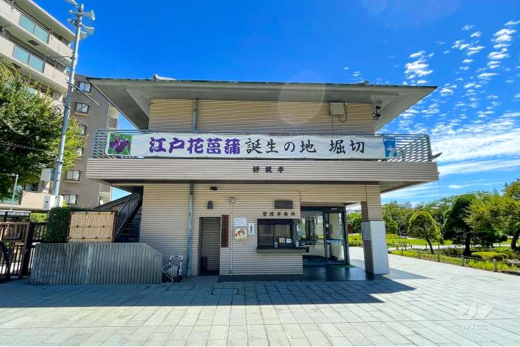 堀切菖蒲園の写真