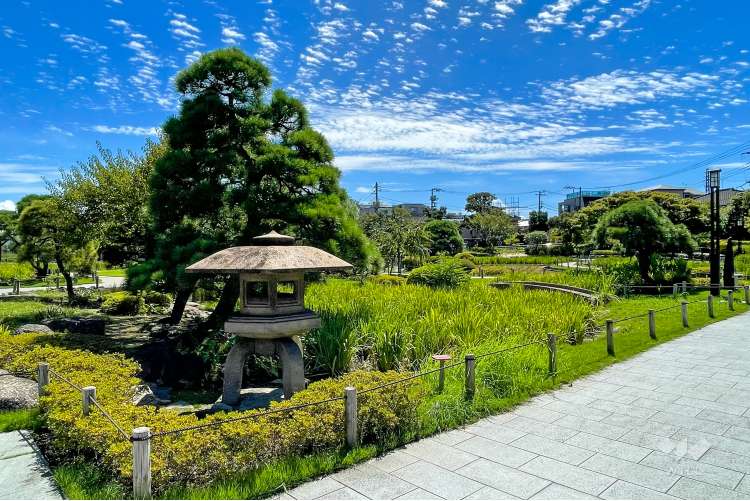 堀切菖蒲園の写真