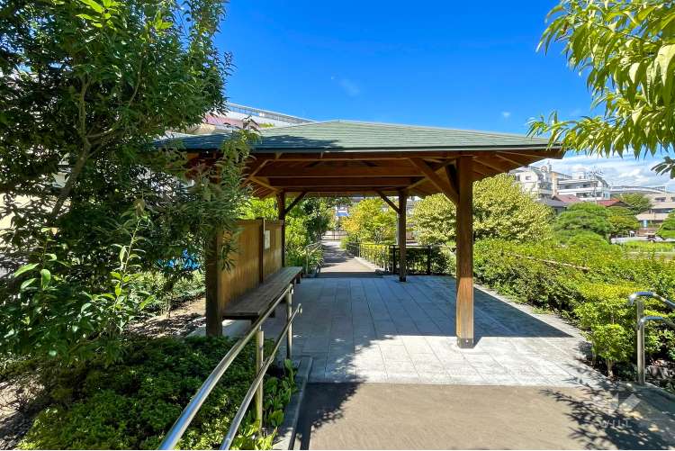 堀切菖蒲園の写真