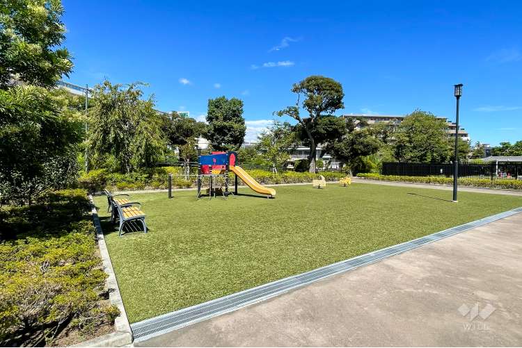 堀切菖蒲園の写真