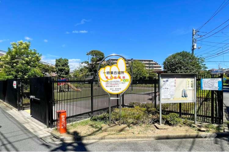 堀切菖蒲園の写真