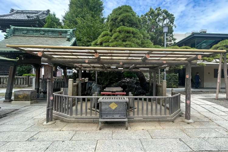 柴又帝釈天の写真