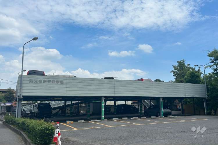 柴又帝釈天の写真