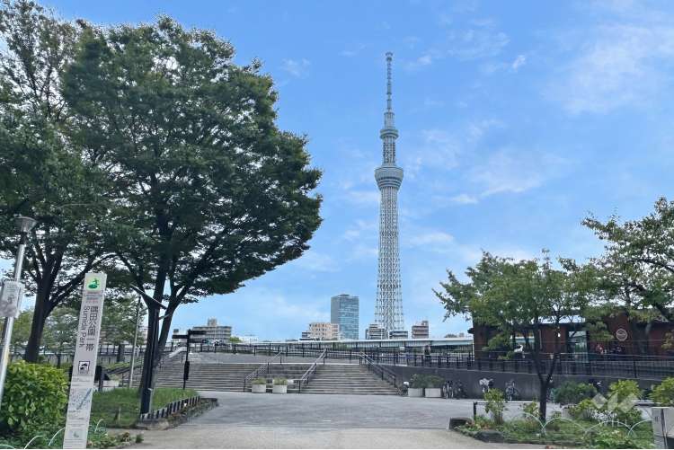 隅田公園の写真