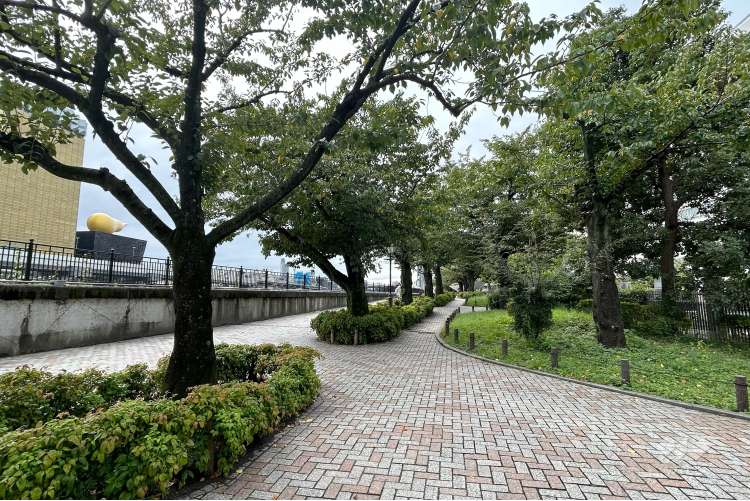 隅田公園の写真