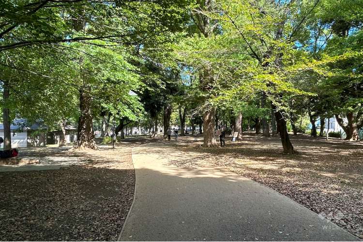 上野恩賜公園の写真