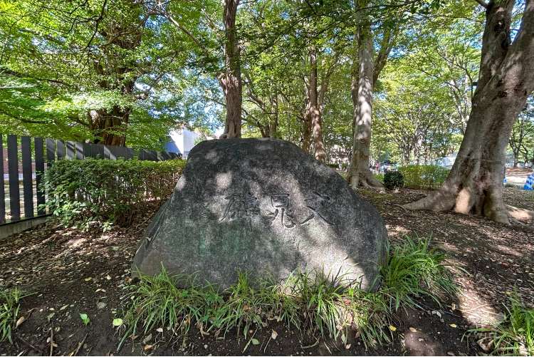 上野恩賜公園の写真