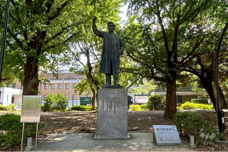 上野恩賜公園の写真