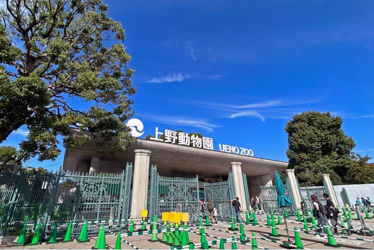 恩賜上野動物園の写真