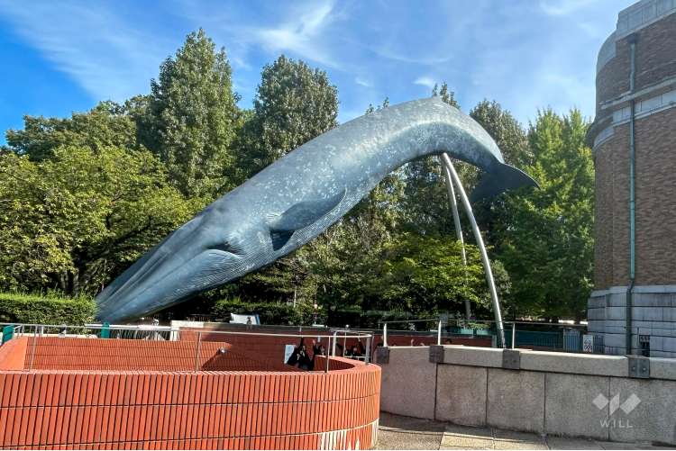 国立科学博物館の写真