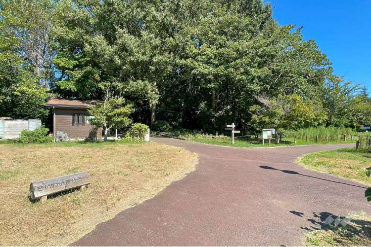 さいわいふるさと公園の写真