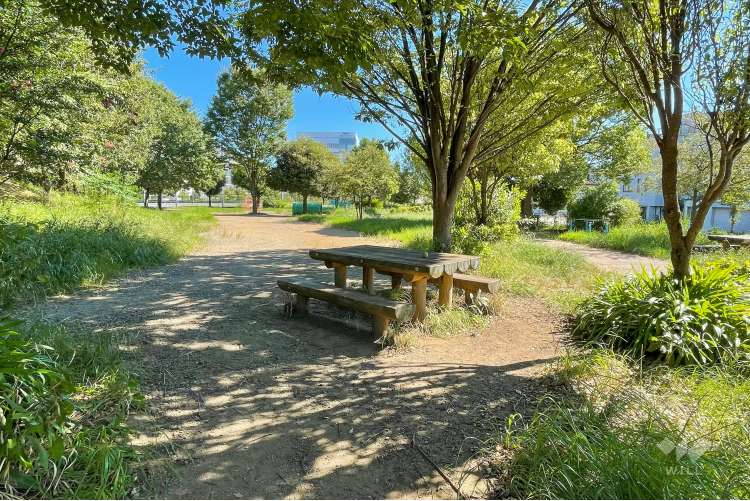 さいわいふるさと公園の写真