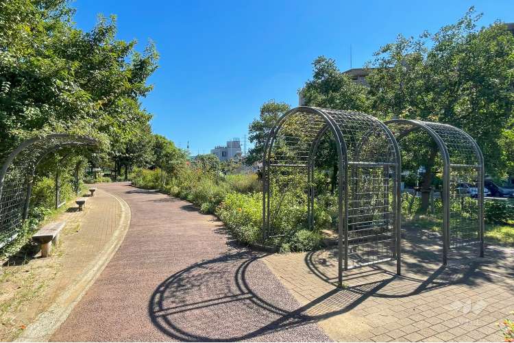 さいわいふるさと公園の写真