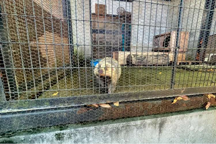 夢見ヶ崎動物公園の写真