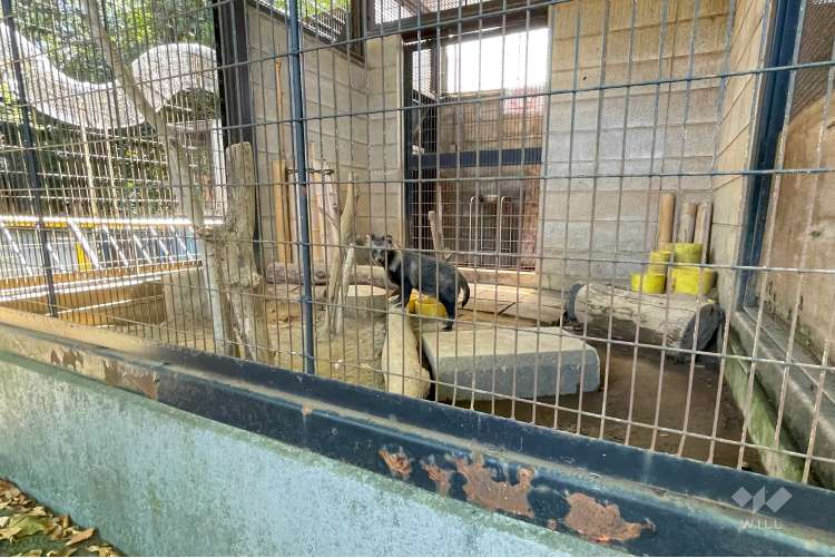 夢見ヶ崎動物公園の写真