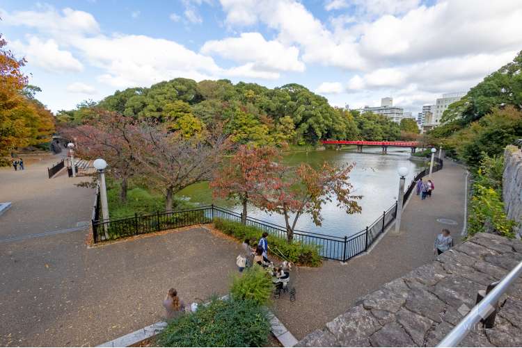 天王寺公園（天王寺動物園）の写真