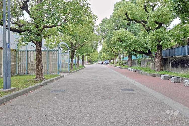 真田山公園の写真