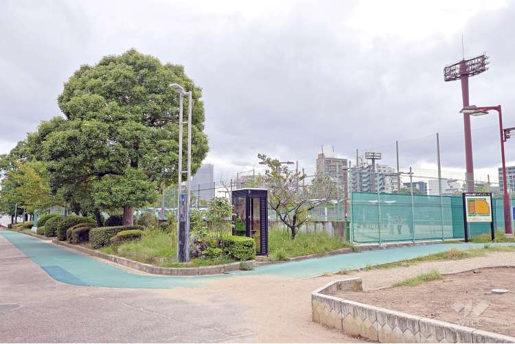 真田山公園の写真