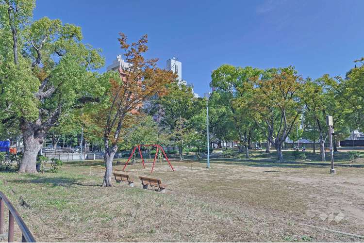 生玉公園の写真