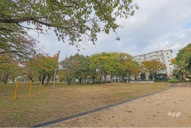 芦原公園の写真