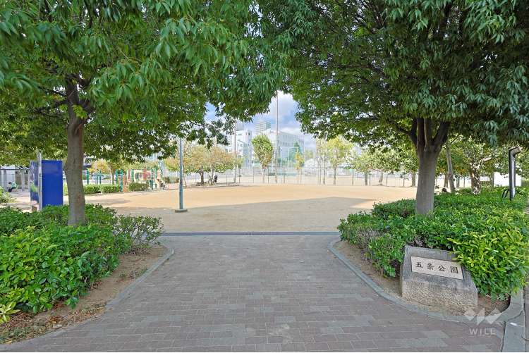 五条公園の写真
