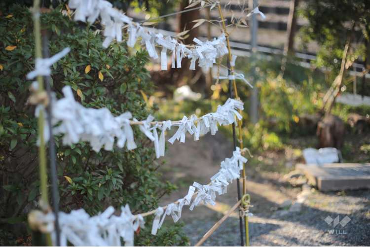 宝塚神社の写真