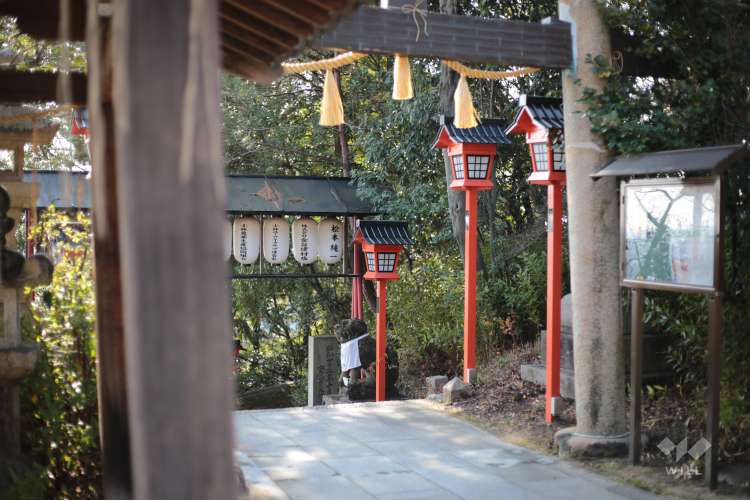 宝塚神社の写真