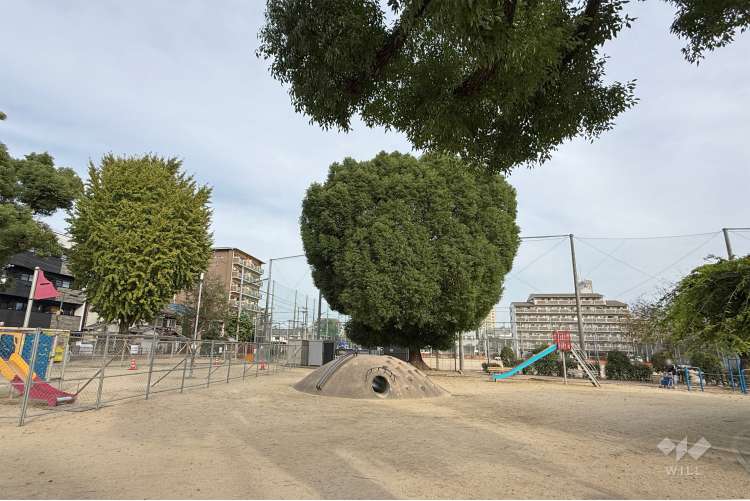 東中浜公園の写真