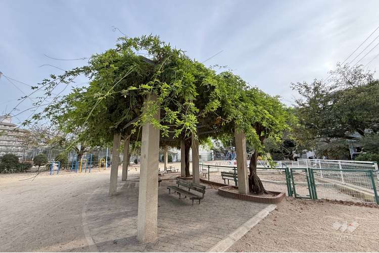 東中浜公園の写真