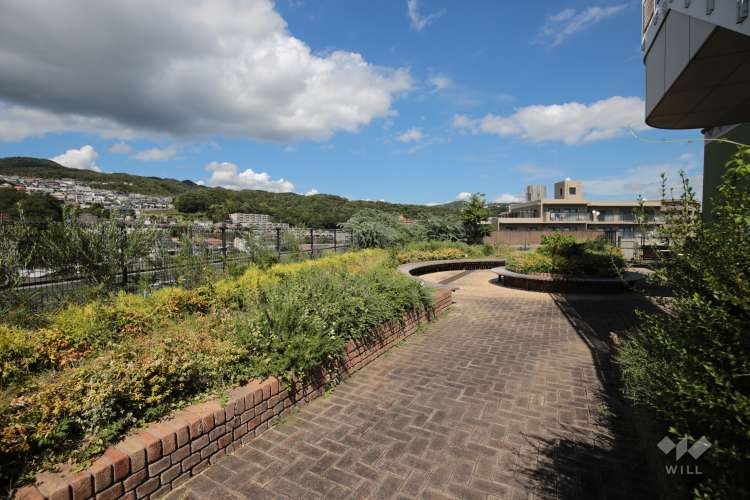 ピピアめふの写真