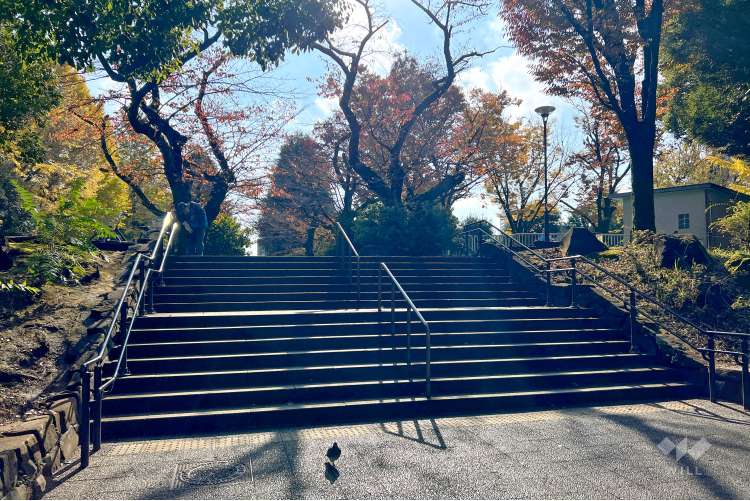 新井薬師公園の写真