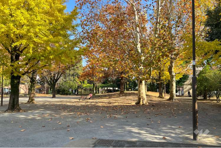 新井薬師公園の写真