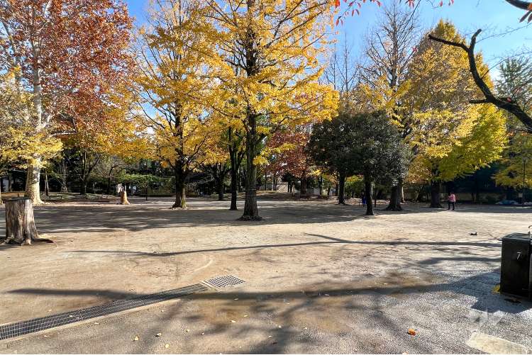 新井薬師公園の写真