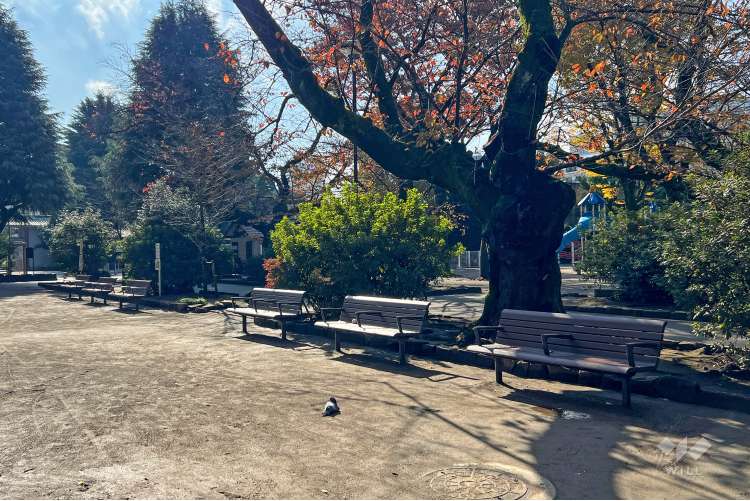 新井薬師公園の写真