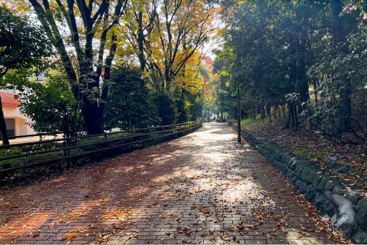 平和の森公園の写真