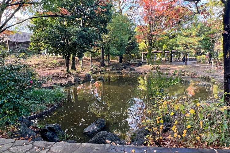 平和の森公園の写真