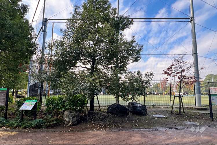 平和の森公園の写真