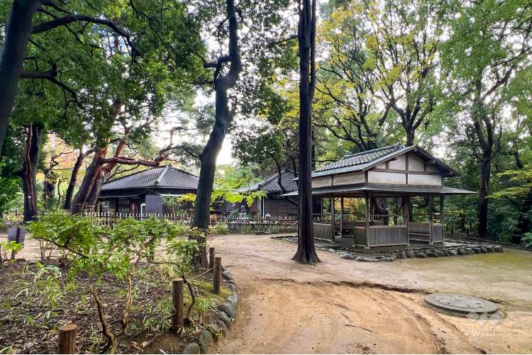 哲学堂公園の写真
