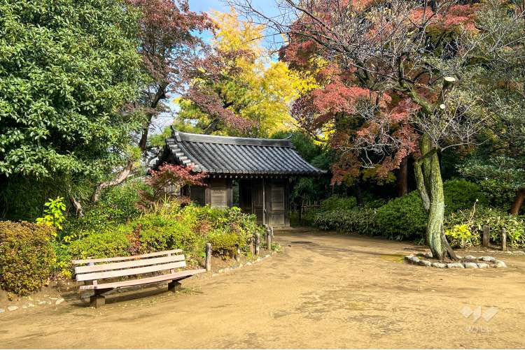 哲学堂公園の写真