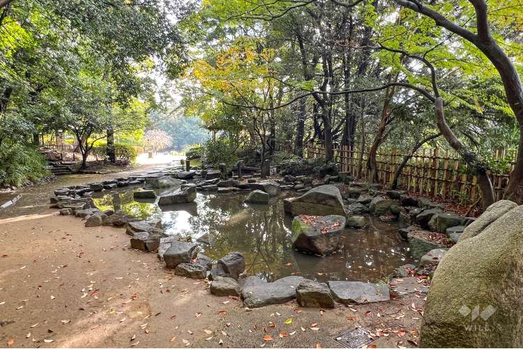 哲学堂公園の写真