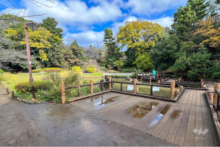 哲学堂公園の写真