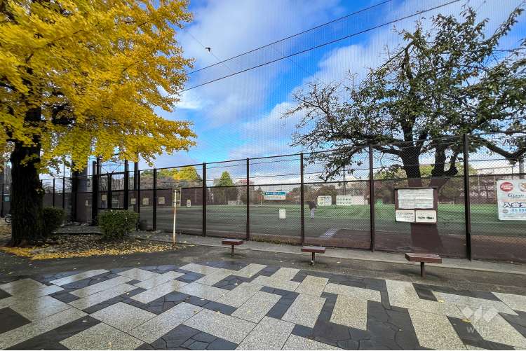 哲学堂公園の写真