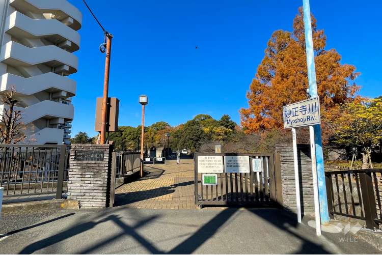 妙正寺川公園の写真