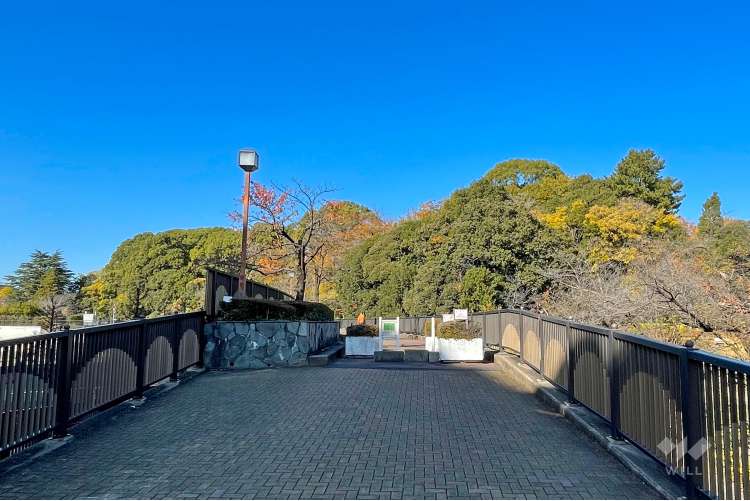 妙正寺川公園の写真