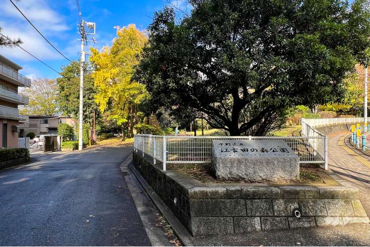 江古田の森公園の写真